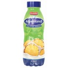 Йогуртный Напиток Ehrmann Alpenland Ананас 1,2% 420г